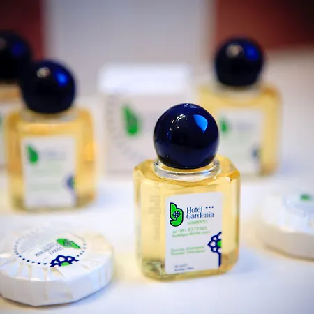 Gardenia Sorrento, Ascend Collection Szálloda 4*