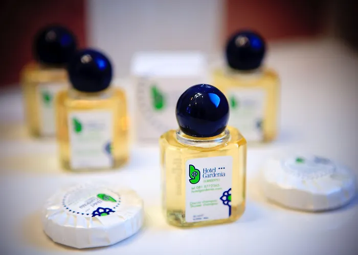 Gardenia Sorrento, Ascend Collection Hotel 4*